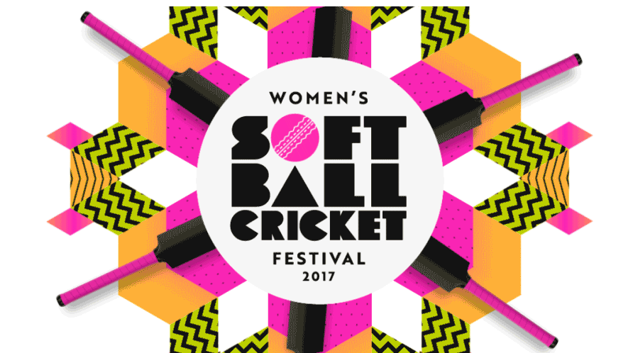 Soft Ball Cricket festival 