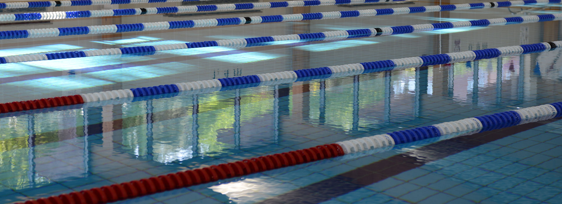 Swimming Pool at Malvern Active