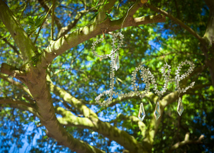 Love sign in the tree at Malvern College