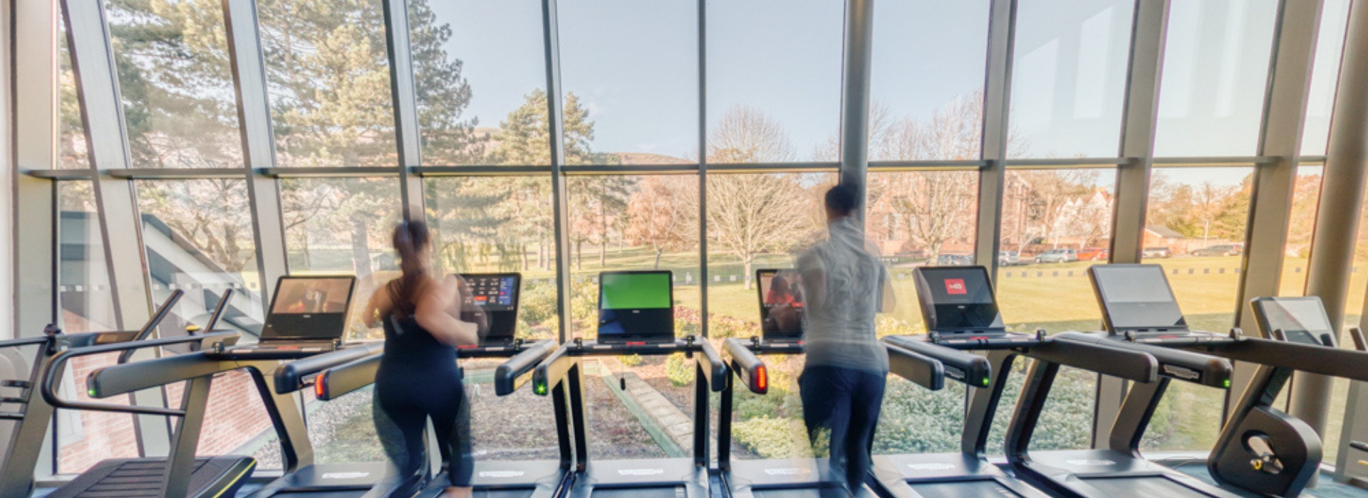 Treadmills in the Gym